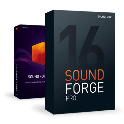 Sound Forge Pro 16 - licenta electronica