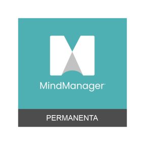 MindManager - licenta permanenta