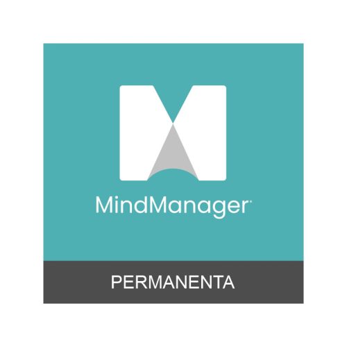 MindManager - licenta permanenta