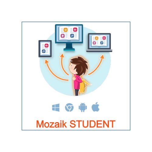 Mozaik STUDENT - licenta utilizator 3 ani