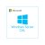 Microsoft Windows Server 2022 1 Device CAL - licenta permanenta