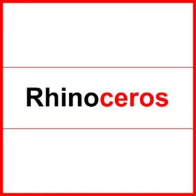 Rhino